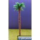 chusan palmboom 90 mm