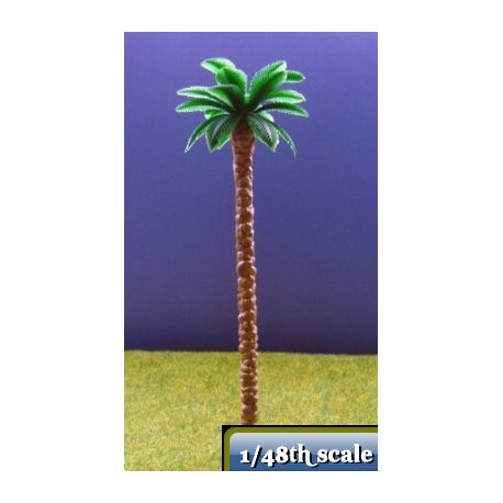 chusan palm tree 90 mm