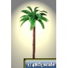 chusan palm tree 70 mm