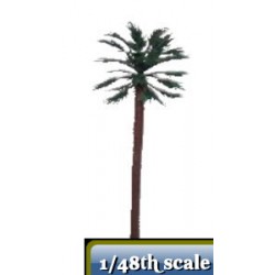 palmboom 60 mm