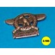 Italian eagle