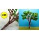 loofboom 120 mm