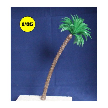 chusan palm tree 180 mm