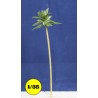 coconut palm tree 150 mm
