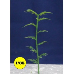 Bambou 8 cm