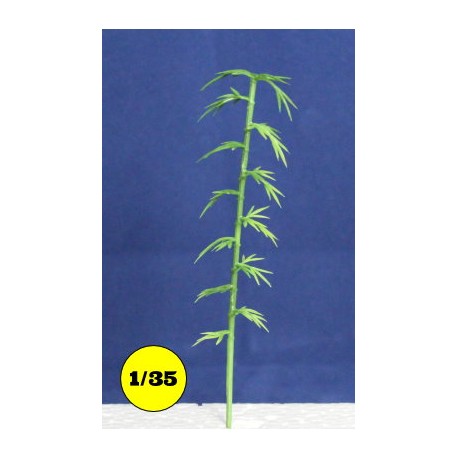Bambou 10 cm