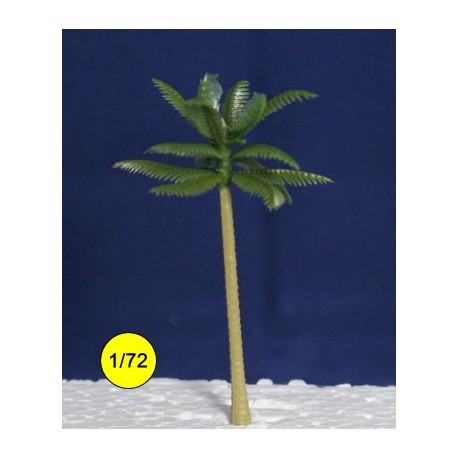 chusan palm tree 70 mm