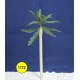  Coconut palm tree 50 mm