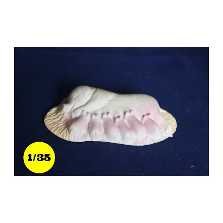 varken met varkentjes