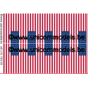 US 50 star flags