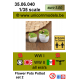 flower pot round potted set 2