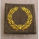 US Army WWII Meritorious Unit Citation Patch