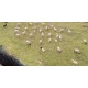 sheep + dogs (20 pieces random)