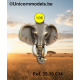 Elephant head