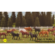 Set paarden (8 stuks random)