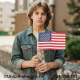 US 50 star flag