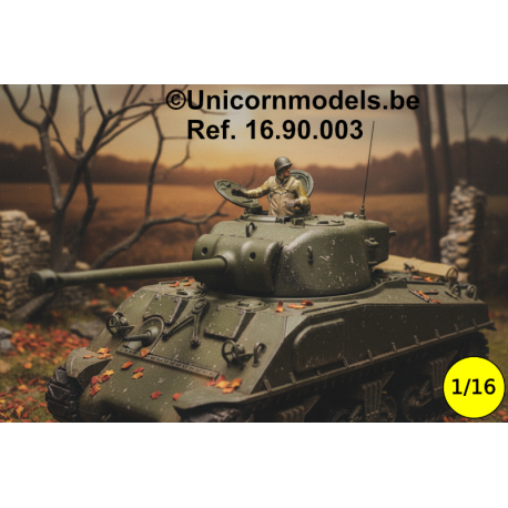 WW II American Tank Officer