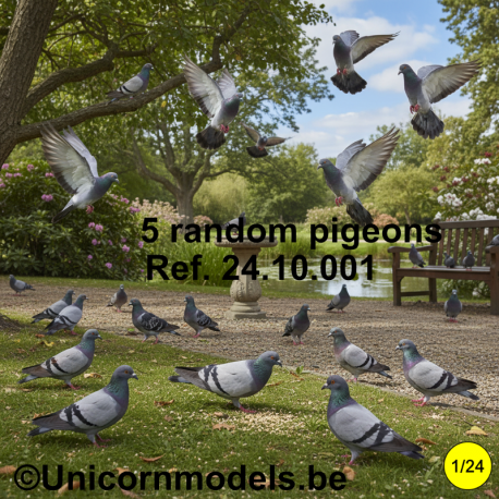 5 random pigeons