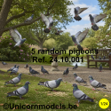 5 random pigeons