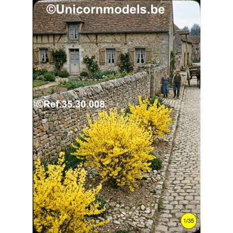 Forsythia set of 2 pcs