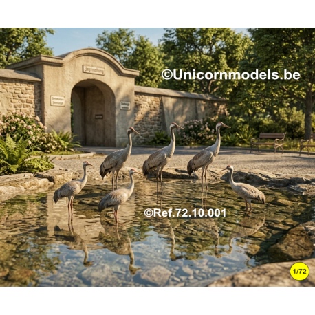 5 vogels