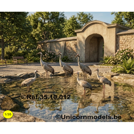 6 vogels