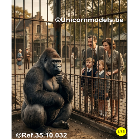 Gorilla zittend