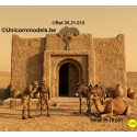dromedary lying
