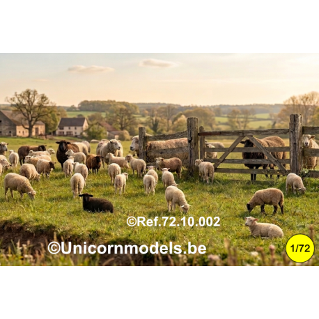 Schapen + honden (20 stuks random)