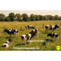 Set koeien (10 stuks random)