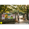 Japanese Safety signs set 2