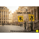 WO 2 SS Vrijwilligers vlaggen