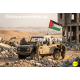 Palestine & other flags